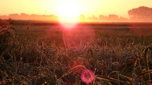 Scenic view of landscape at sunset