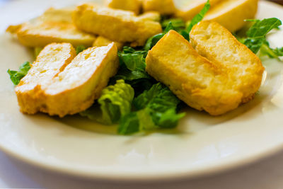 Close-up of haloumi in plate