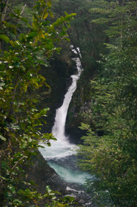 Scenic view of waterfall in forest