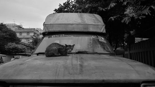 Car in park against sky