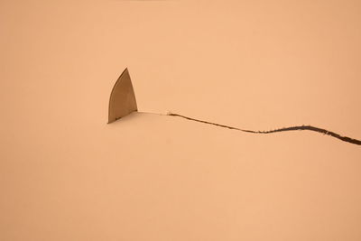 Low angle view of bird against orange sky