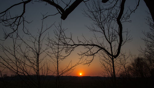 Silhouette tree against sky during sunset