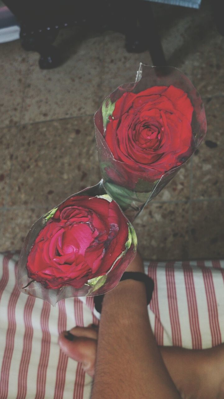 pink color, red, indoors, lifestyles, flower, holding, focus on foreground, person, close-up, leisure activity, part of, personal perspective, high angle view, freshness, pink, table