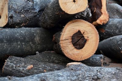 Close-up of logs in forest