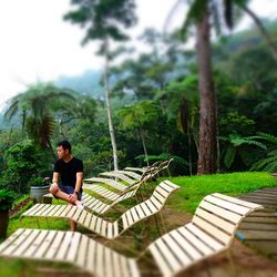 Portrait of young man sitting on wood against trees