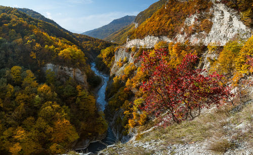 Autumn in the caucasus mountains. argun gorge in the chechen republic.