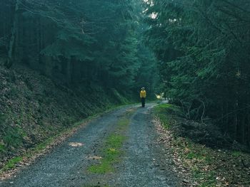 Rear view of woman walking on road in forest