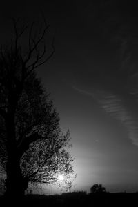 Low angle view of silhouette tree against sky during sunset