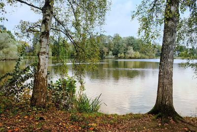 Scenic view of lake against trees