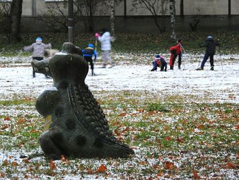 Horses playing on snow covered tree