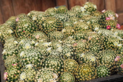 Close-up of fruits for sale in market
