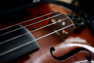 Close-up of violin