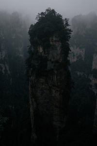 Trees on mountain against sky