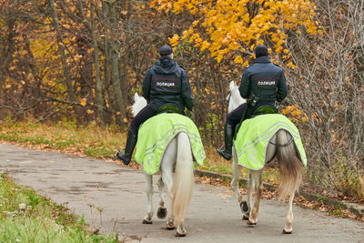 Rear view of men riding horse in forest