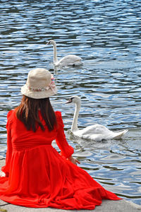 Rear view of woman looking at seagull