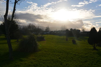 Scenic view of grassy field against sky