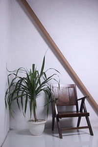 High angle view of potted plant on table against wall