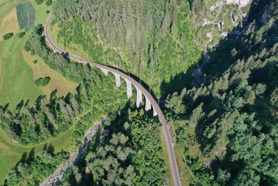 High angle view of road amidst trees