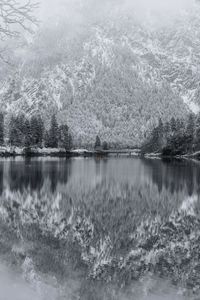 Scenic view of lake in forest during winter