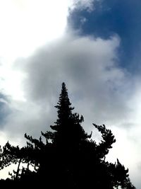 Low angle view of tree