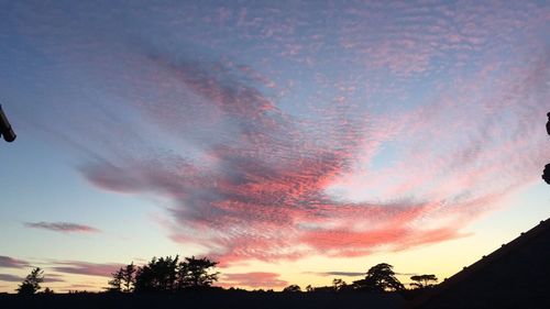 Low angle view of silhouette trees against sky