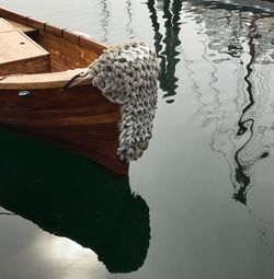 Boat in the harbor 