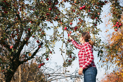 Low angle view of woman standing on tree against sky