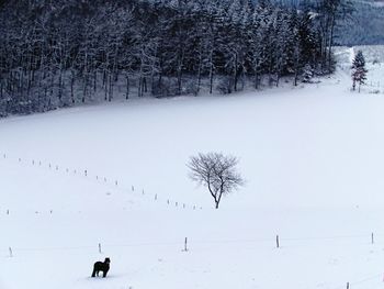 High angle view of snow covered landscape