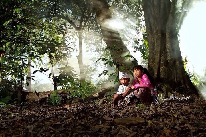 tree, lifestyles, leisure activity, casual clothing, forest, men, tree trunk, full length, rear view, standing, young adult, person, sitting, day, nature, growth, sunlight, sunbeam