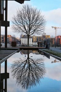 Bare tree by frozen river in city against sky