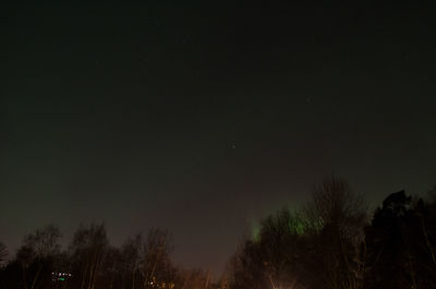 Low angle view of trees against sky at night