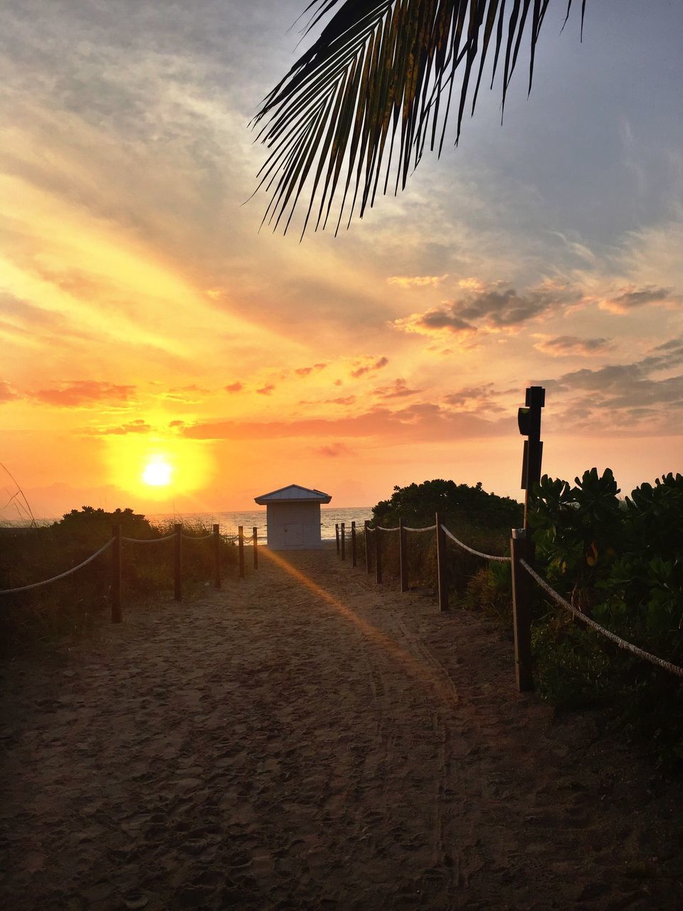 NARROW PATHWAY ALONG LANDSCAPE AT SUNSET