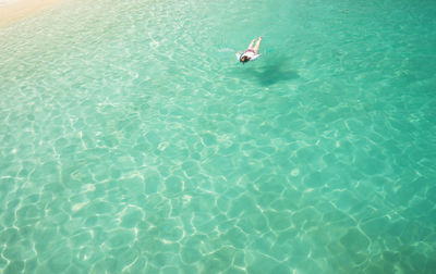 High angle view of person snorkeling in sea