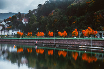 Scenic view of lake by trees against orange sky