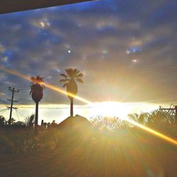 Silhouette of trees on field against sky at sunset