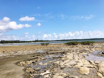 Scenic view of beach against blue sky