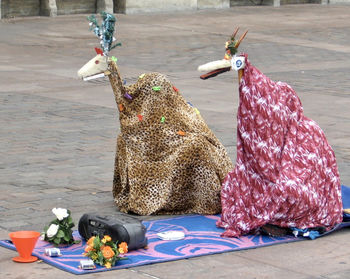 Close-up of animal representation on table