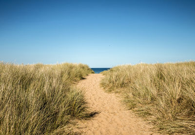 Scenic view of beach against clear blue sky