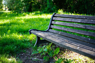 Empty bench in park