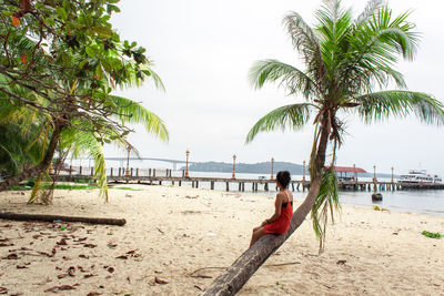 Palm trees on beach against sky