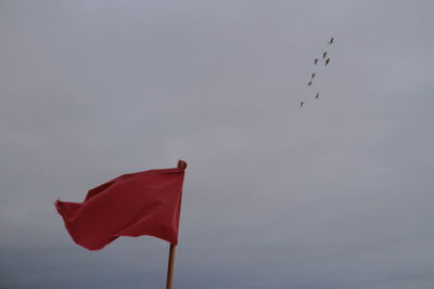 Low angle view of flag waving against birds flying in sky