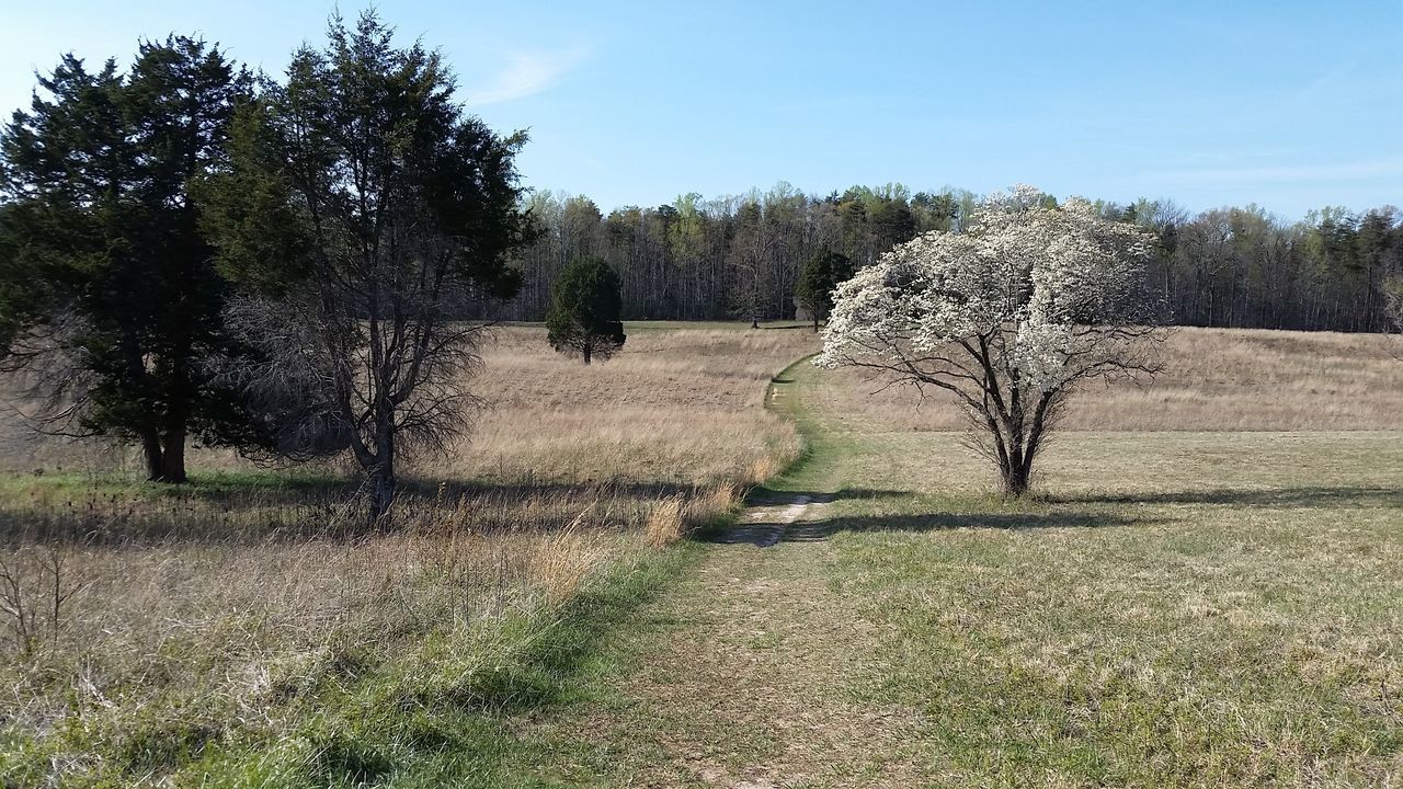 Spotsylvania, va battlefield