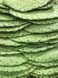 Full frame shot of bananas in market