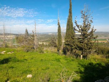 Scenic view of field against cloudy sky