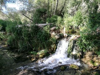 View of waterfall in forest