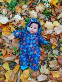 High angle view of girl on dry leaves during autumn