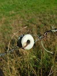 Close-up of barbed wire on field