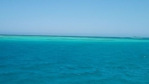 Scenic view of sea against clear blue sky