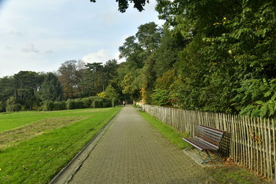 Empty road amidst trees against sky