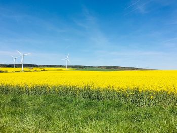 Scenic view of yellow field against sky